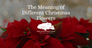 the meaning of christmas flowers
