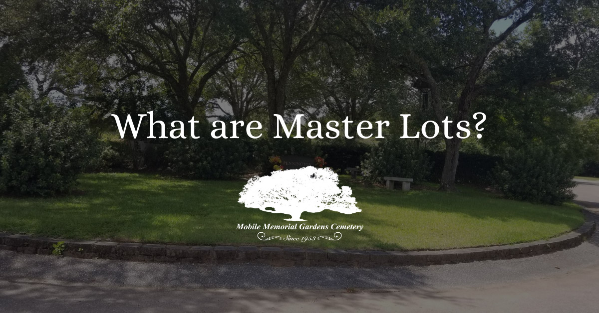 What are Master Lots?
